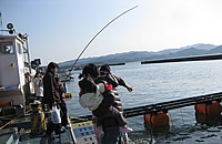 久美浜カキ・魚まつり 